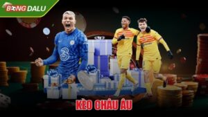 Kèo Châu Âu luôn thu hút sự chú ý của nhiều người đam mê cá cược bóng đá trực tuyến. Hình thức đặt cược này được ưa chuộng bởi các quy tắc đơn giản và tỷ lệ thắng cao. Nếu bạn muốn tìm hiểu sâu hơn về loại kèo này, hãy tham khảo những thông tin chi tiết được Bongdalu5.club cập nhật dưới đây. Kèo Châu Âu Là Gì? Kèo cược Châu Âu, hay còn gọi là kèo 1x2, là một hình thức bắt độ phổ biến và dễ tiếp cận. Thể loại này thường xuyên xuất hiện trên bảng cược của các nhà cái trực tuyến với số lượng thành viên tham gia đông đảo. Đối với những người chơi lâu năm, kèo 1x2 không còn xa lạ, nhưng với các tân binh, nó có thể gây khó khăn trong việc hiểu cách thức hoạt động. Thay vì phải suy đoán số bàn thắng hay tỷ lệ chấp thì kèo Châu Âu yêu cầu người chơi chỉ cần chú ý đến ba lựa chọn đơn giản: thắng, thua hoặc hòa. Điều này giúp giảm bớt áp lực cho thành viên tham gia đặt cược, đặc biệt khi họ trao gửi niềm tin cho đội bóng mình yêu thích. Tuy nhiên, việc lựa chọn giữa cảm xúc và lý trí trong cá cược vẫn luôn là một thách thức nên bạn hãy thật sự tỉnh tảo trước khi đưa ra quyết định cuối cùng. Kèo cược Châu Âu được nhiều người chinh phục Hướng dẫn cách đọc kèo Châu Âu Kèo cược Châu Âu được xem là rất phù hợp cho nhiều đối tượng, bao gồm cả những người mới bắt đầu bởi sự đơn giản, dễ hiểu. Loại hình cá cược này có thể được phân thành hai loại: kèo hiệp 1 và kèo toàn trận với cách đọc cụ thể như sau: Cách đọc kèo Châu Âu hiệp 1 Khi tham gia kèo cược Châu Âu ở hiệp 1, bạn sẽ bắt gặp ký hiệu được hiển thị trên bảng cá cược tại nhà cái là 1H.1×2. Cụ thể: 1H: Đặt cược cho hiệp 1. 1: Đội chủ nhà (Home Team), nếu đội này thắng, bạn sẽ nhận thưởng. X: Hòa (Draw), nếu hai đội hòa, bạn sẽ thắng cược. 2: Đội khách (Away Team), nếu bạn đặt cược cho đội khách và họ thắng, bạn sẽ nhận tiền thưởng. Cách đọc kèo Châu Âu toàn trận Khi đặt cược cho toàn trận, bạn sẽ nhìn thấy ký hiệu sẽ xuất hiện trên bảng tỷ lệ của nhà cái là FT.1×2. Cụ thể: FT: Người chơi cược cho toàn bộ trận đấu. 1: Đội chủ nhà - Nếu bạn dự đoán đúng và đội này thắng, bạn sẽ nhận thưởng. X: Hòa - Nếu bạn chọn kèo này và hai đội hòa, bạn sẽ nhận tiền. 2: Đội khách - Nếu bạn tin tưởng đội khách và họ thắng, bạn sẽ ăn tiền cược cho toàn trận. Cách đọc kèo 1X2 toàn trận đơn giản Một số mẹo cá cược kèo Châu Âu đạt hiệu quả cao Để thu hút người chơi, các nhà cái trực tuyến luôn đưa ra mức thưởng hấp dẫn khi dự đoán chính xác kèo cược Châu Âu. Để dễ dàng kiếm lợi nhuận về túi, bạn hãy tham khảo một số mẹo cơ bản sau: Tránh bẫy từ nhà cái Khi đã hiểu rõ về kèo châu Âu, cược thủ cần phải cảnh giác với những bẫy mà nhà cái có thể đặt ra. Những trận đấu có sự chênh lệch lớn về trình độ thường thu hút người chơi bởi tỷ lệ thưởng cao. Tuy nhiên, việc đặt cược vào những kèo này không hề đơn giản. Cược thủ nên thận trọng và không để cảm xúc chi phối, vì những cạm bẫy này có thể khiến họ mất nhiều hơn là được. Chọn thời điểm bắt kèo Châu Âu Thời điểm đặt cược cũng đóng vai trò quan trọng trong việc nâng cao tỷ lệ thắng. Theo các chuyên gia, thời điểm lý tưởng để đặt cược là từ 3 đến 5 ngày trước khi trận đấu diễn ra. Lý do là vào thời điểm này, tỷ lệ kèo ổn định và ít biến động. Ngược lại, đặt cược vào ngày diễn ra trận đấu có thể dẫn đến sự nhiễu loạn thông tin, làm giảm khả năng chiến thắng của cược thủ. Nên chọn thời điểm bắt kèo Châu Âu đúng lúc Nắm bắt thông tin cần thiết Khi tham gia vào việc đặt cược kèo Châu Âu, việc tìm hiểu thông tin về hai đội bóng là rất cần thiết. Điều này không chỉ giúp bạn đưa ra những đánh giá chính xác mà còn gia tăng khả năng thu lợi nhuận từ cược. Dưới đây là một số yếu tố quan trọng mà người chơi nên xem xét để có trải nghiệm cược hiệu quả. Trước tiên, hãy xem xét tính chất của trận đấu để đưa ra quyết định hợp lý. Tiếp theo, phân tích tương quan lực lượng giữa hai đội, bao gồm đội hình ra sân, các cầu thủ chủ chốt và những chấn thương có thể ảnh hưởng đến trận đấu. Ngoài ra, chiến thuật mà mỗi đội áp dụng và phong cách huấn luyện của HLV cũng rất quan trọng. Cuối cùng, đừng quên tìm hiểu các yếu tố bên ngoài như địa điểm thi đấu và điều kiện thời tiết, vì chúng có thể tác động lớn đến kết quả trận đấu. Lời kết Kèo Châu Âu - Cách đọc kèo và một số mẹo chơi chắc thắng