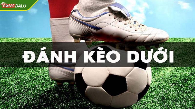 Đội cửa dưới bị đánh giá thấp hơn theo nhận định của nhà cái