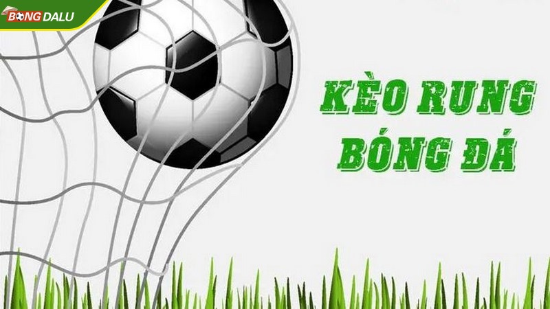 Kèo rung có tính linh hoạt cao