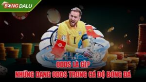 Odds là gì? Những dạng odds trong cá độ bóng đá cần biết