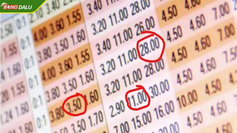 Odds là gì? Những dạng odds trong cá độ bóng đá được chú ý