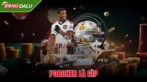 Poacher là gì? Vai trò của "sát thủ vòng cấm" trong bóng đá