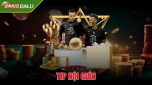 Tip nội gián là gì và lợi ích khi soi kèo bạn nên biết