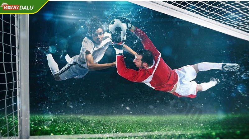 Cập nhật thông tin nhanh chóng, độ tin cậy cao
