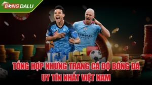 Tổng hợp những trang cá độ bóng đá uy tín nhất Việt Nam hot