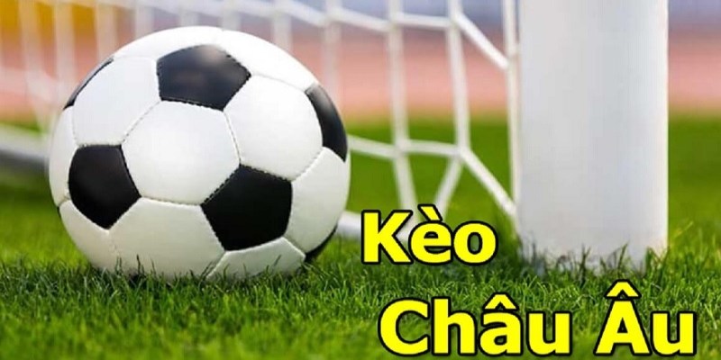 Theo dõi biến động kèo khi tham gia chơi