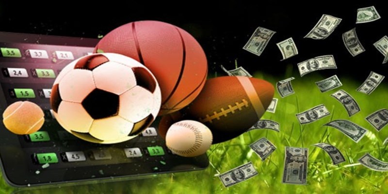 Các môn thể thao cực kì hấp dẫn