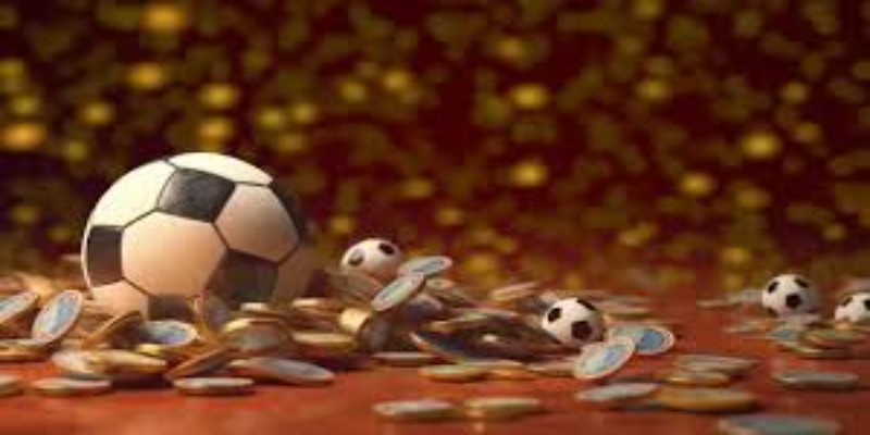 Bóng đá là môn được yêu thích nhất trong hệ thống thể thao