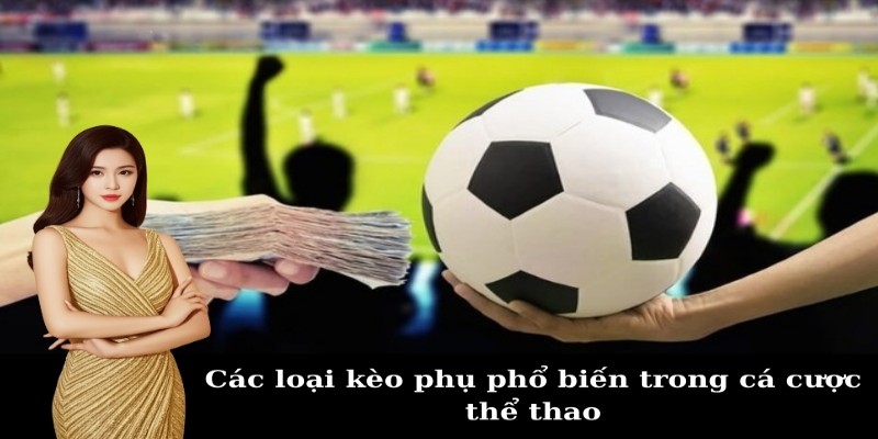 Bảng kèo được cập nhật hằng ngày theo thời gian thực