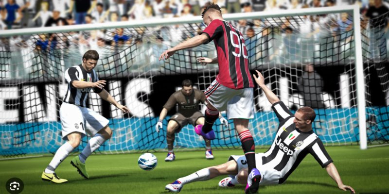 Top bộ môn thể thao được yêu thích trên nền tảng